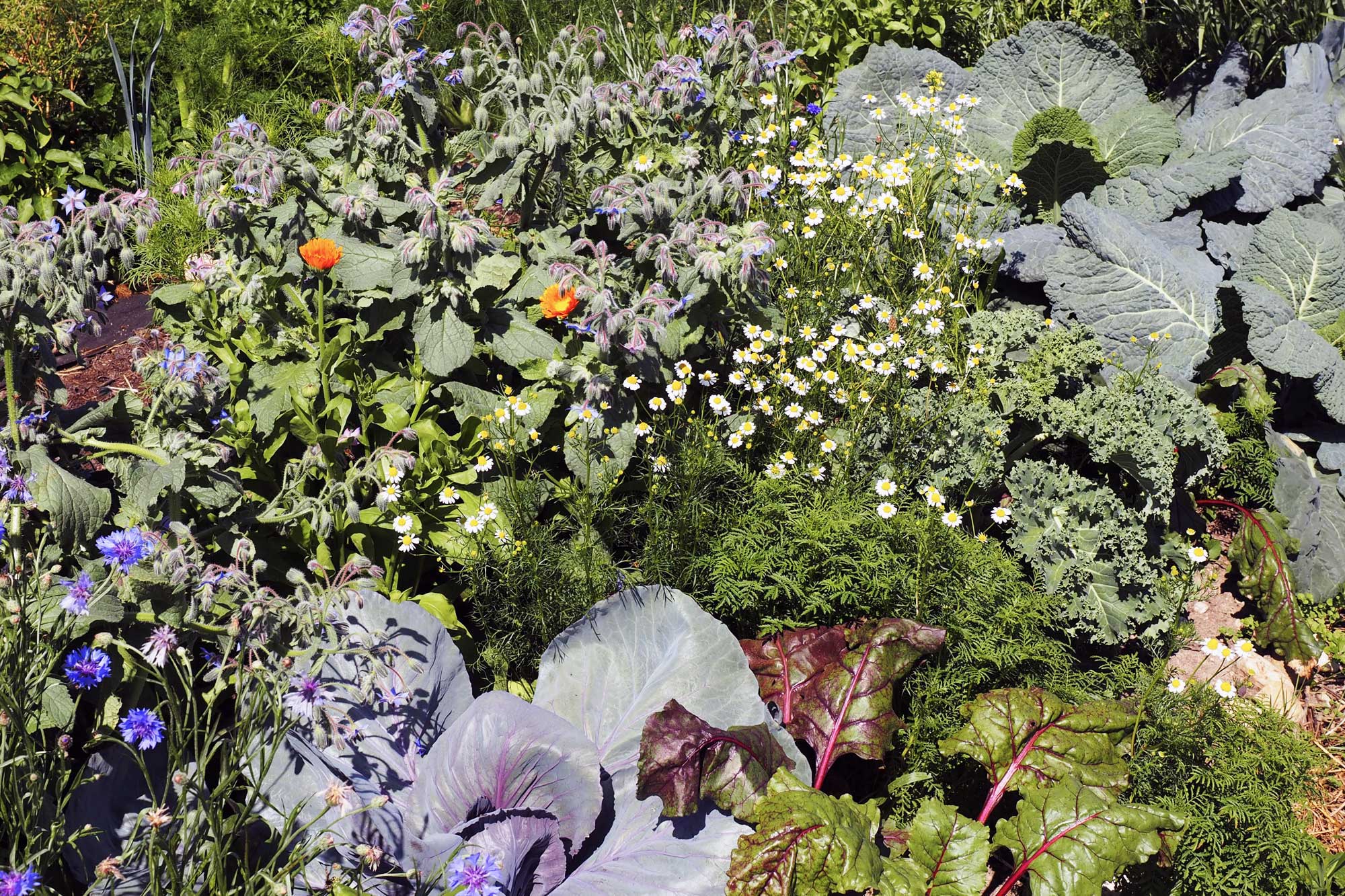 Aktuelles I Beratung